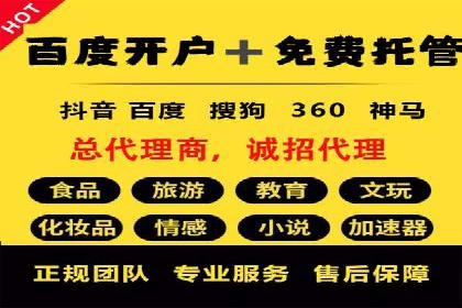 企业SEM服务实战案例解析